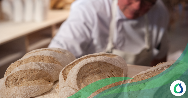 El Secreto para un Pan de Calidad y Uniforme: Fermentadoras​