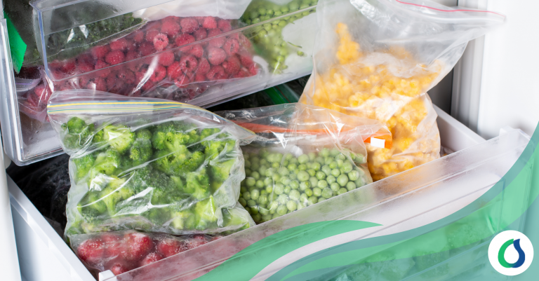 Gestión de Stock y Conservación de Alimentos en Congeladores