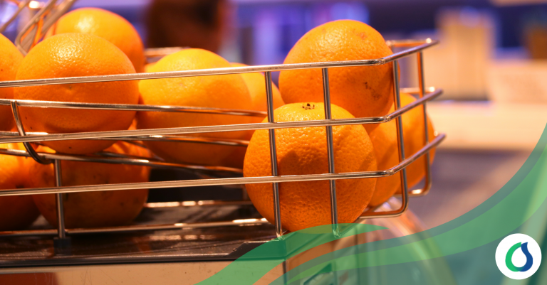 Zummo: Exprimidoras de Zumo de Alta Calidad